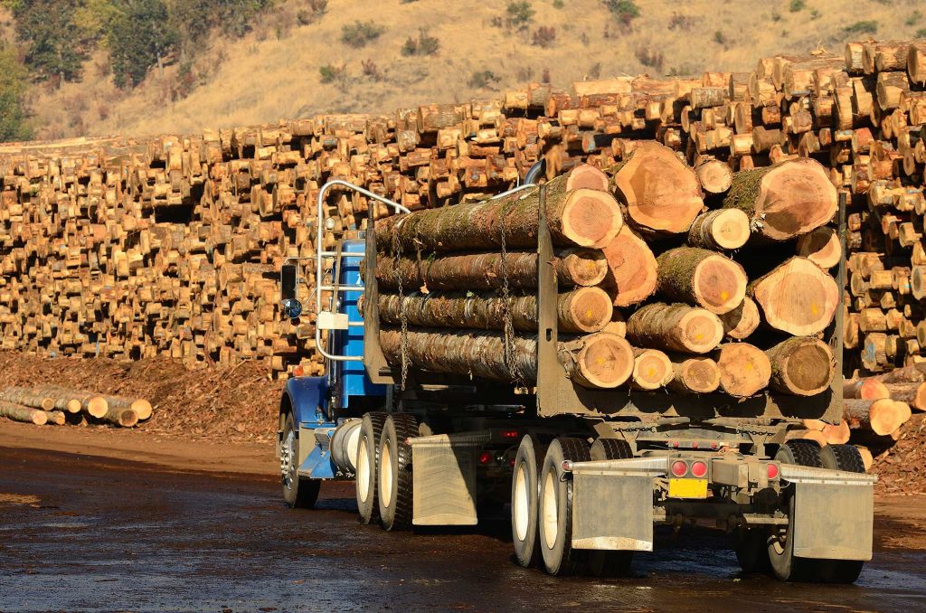 lumbertrucklg