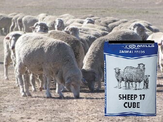 Rumevite-Ovisure-40-Pellets-336x252