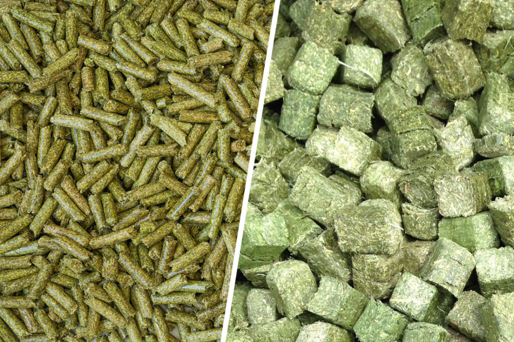 forage-cubes-and-pellets-for-horses