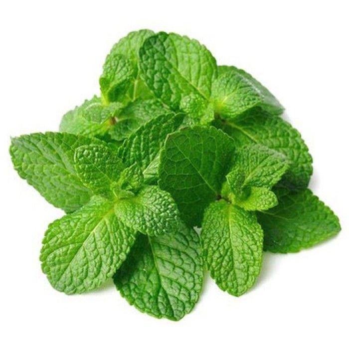 fresh-mint-leaves-1690891250-7010530