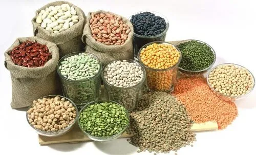 indian-pulses-737