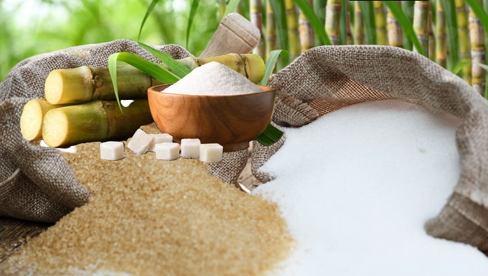 shutterstock_2324090883 (1)